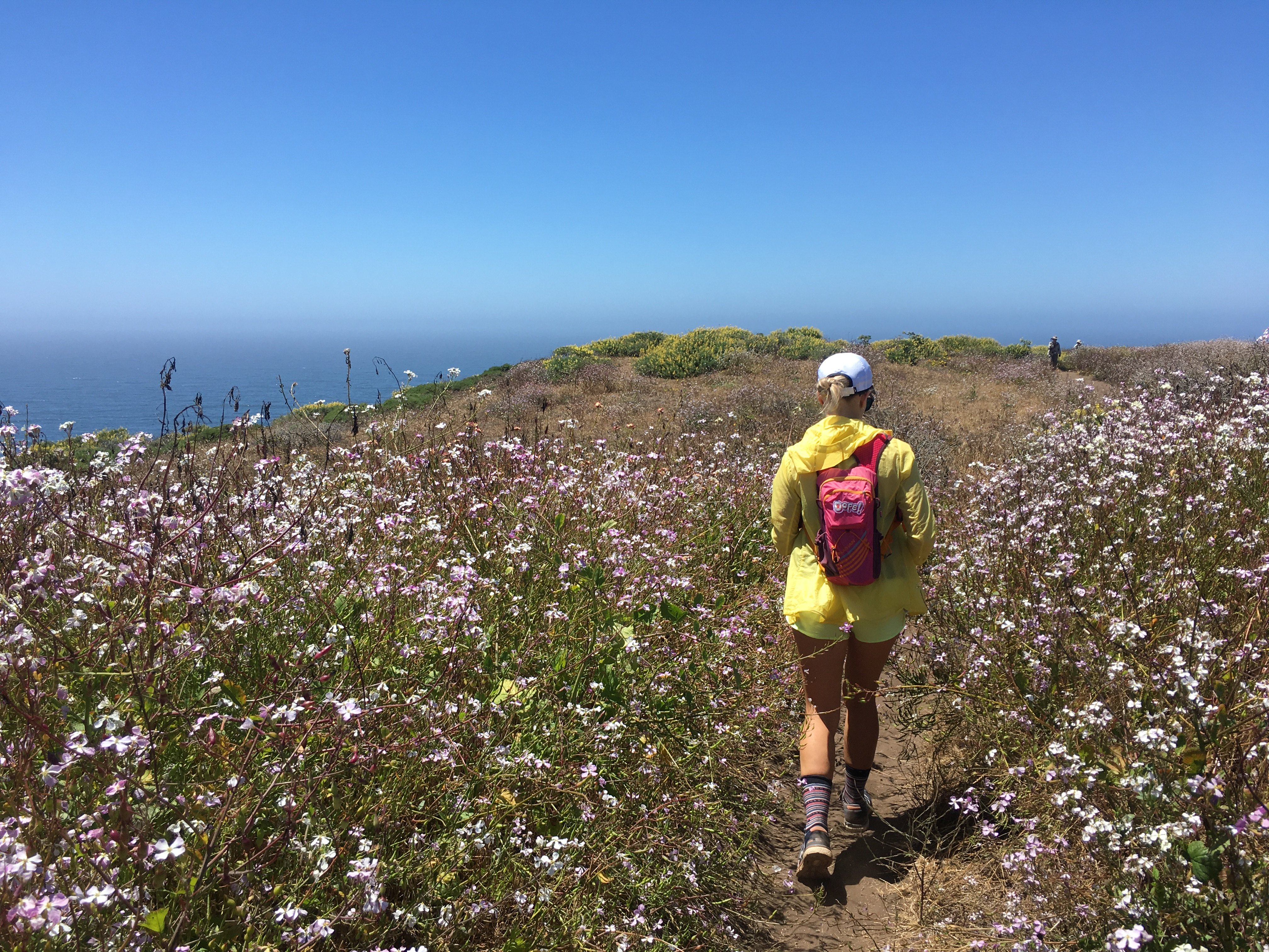 tomales point trail