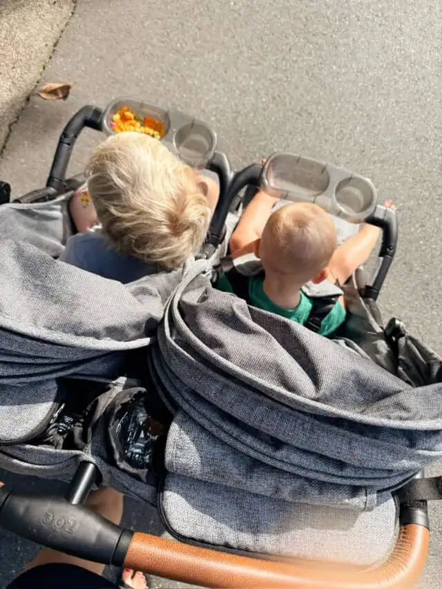 Zoe Travel Stroller with baby and toddler